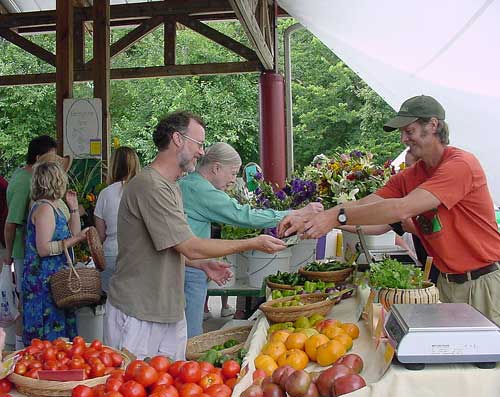 Alex at the Carrboro Farmers' Market