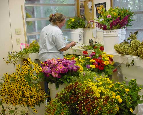 Betsy trims and bunches cut flowers