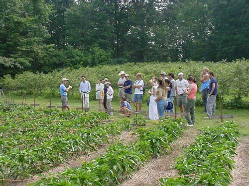 Chath pierSath - Farmer by day, artist by night - Nicewicz Family Farm