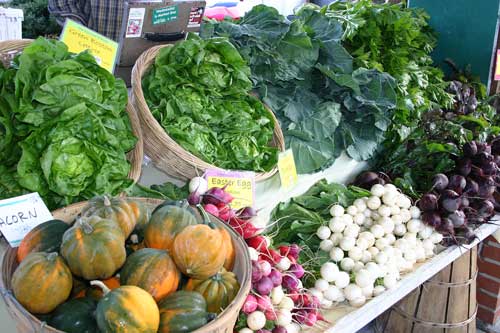 Thanksgiving offerings at the Carrboro farmers' market