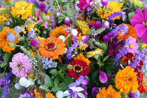 mixed bouquets