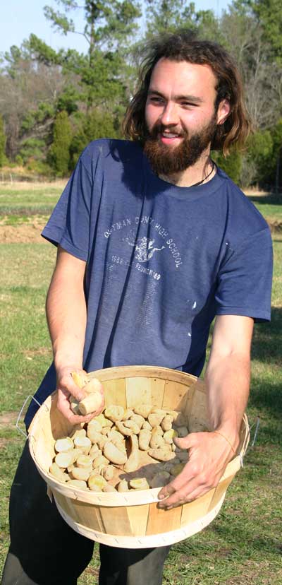 George with seed potatoes