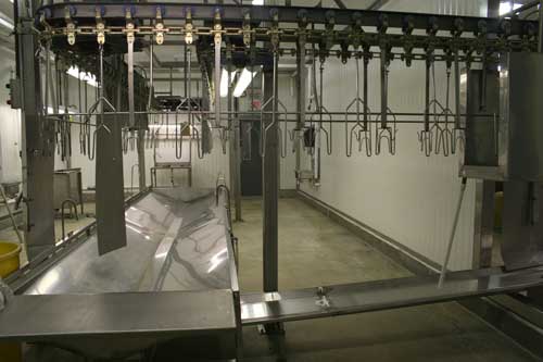 interior of poultry plant