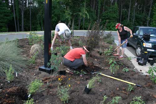 planting in the garden