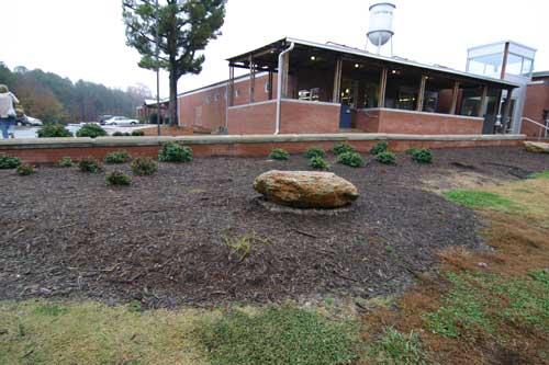 front bed before planting