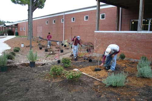 planting porch bed