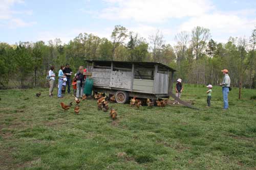 egg-mobile