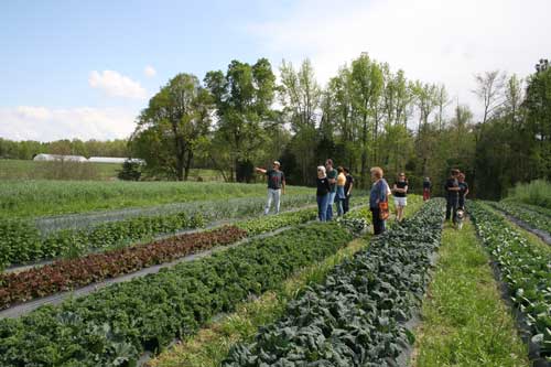 Ken in field with spring crops