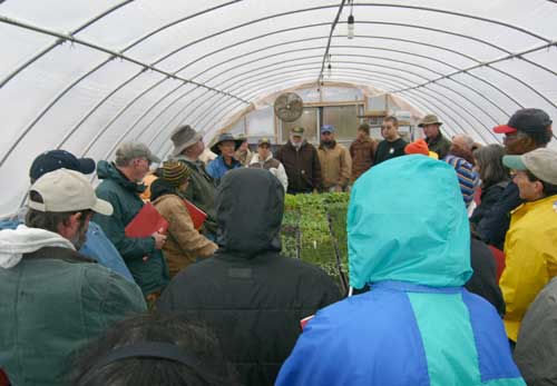 group in greenhouse