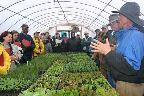 Doug in greenhouse