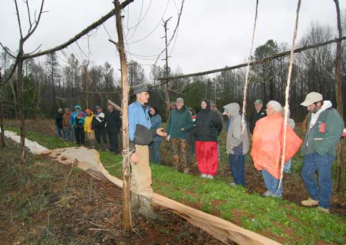 farm show and tell