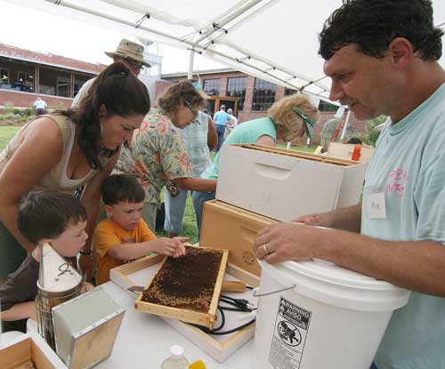 Kids hold new bees