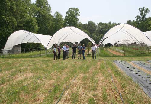 Looking at newly planted no-till peppers at Peregrine Farm