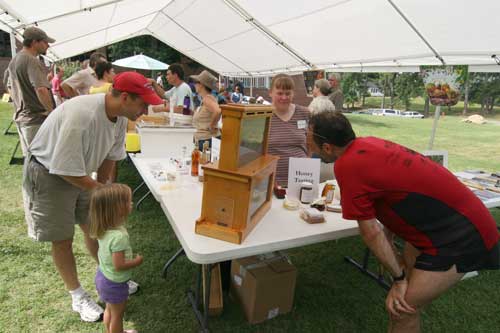 visitors looking at observation hive