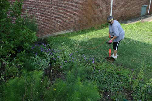 edging the beds