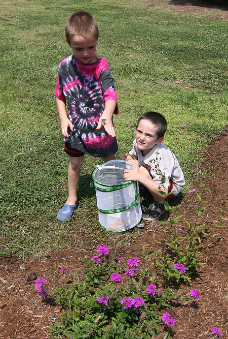 Twins Oscar and Wiley Upshaw release a butterfly in the pollinator garden.