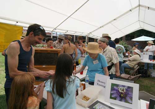 honey tasting