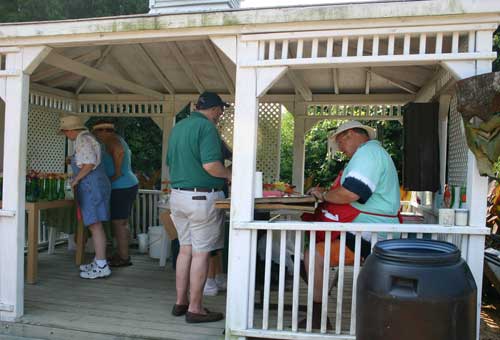 Jim Massey labels daylilies for customers 