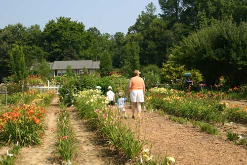 visitors enjoy the gardens