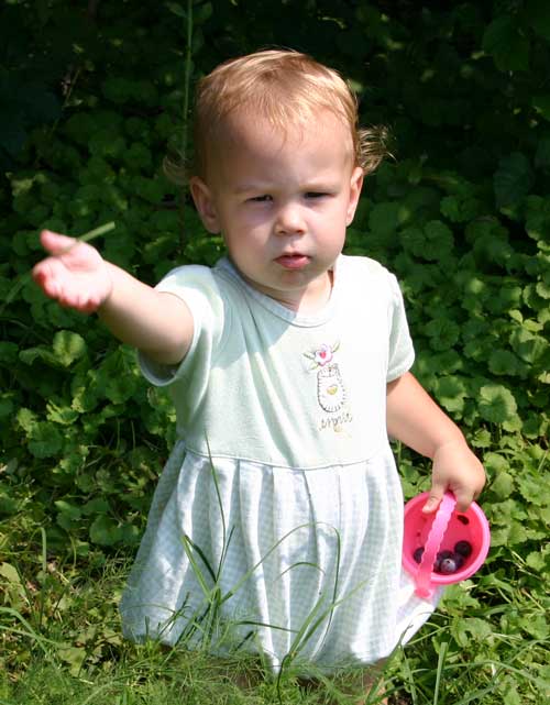 Lucy picks berries