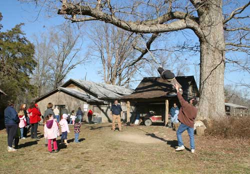 tree swing