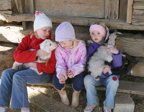 girls having fun with kids