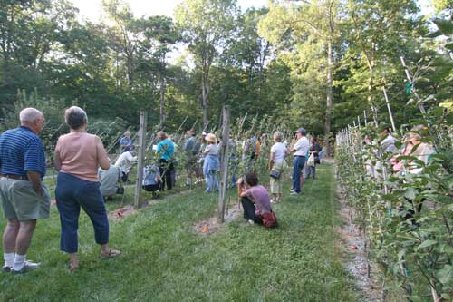 Visitors gather around while Lee talks about his apple trees.