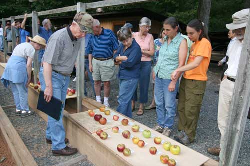 apple variety demonstration