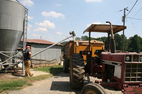 loading ground corn