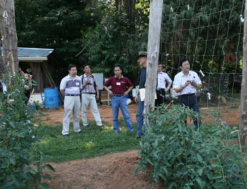 group looks at tomatoes