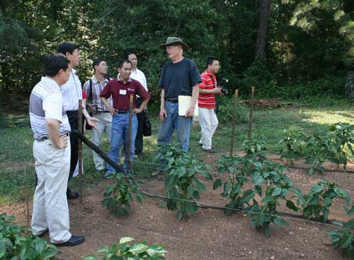 Bill discusses his pepper crop