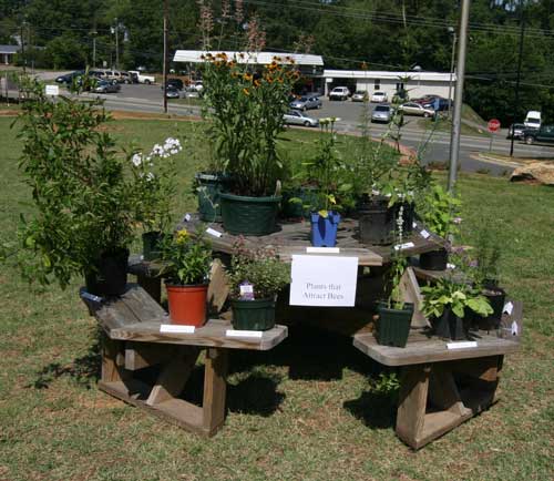 plant exhibit