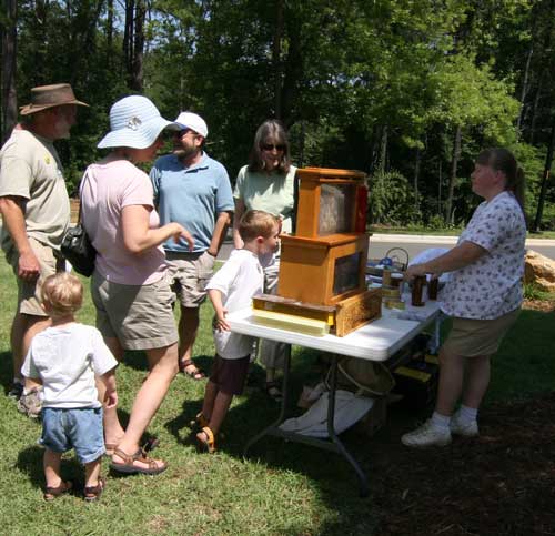 observation hive