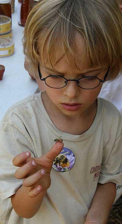 Child handling bees