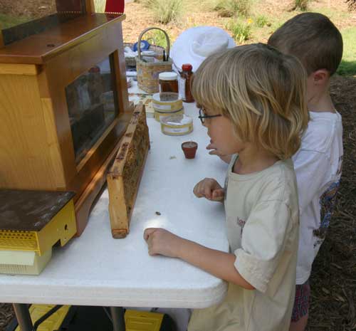 children watching display