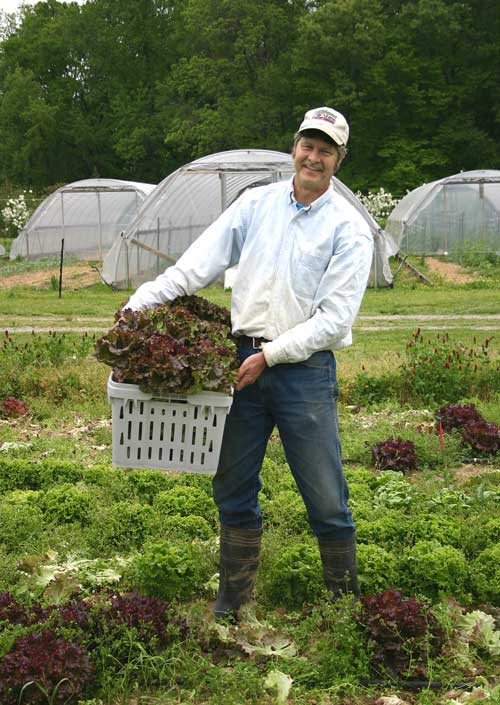 Alex with fresh-cut leaf lettuce