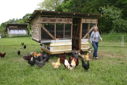 Cathy with girls