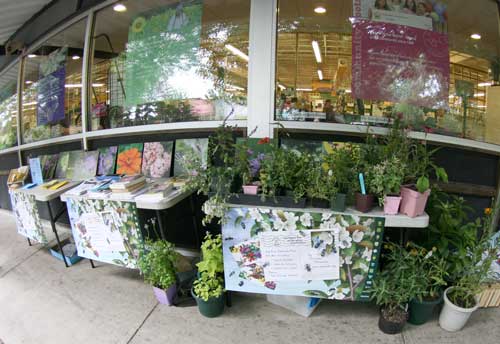 pollinator garden demo