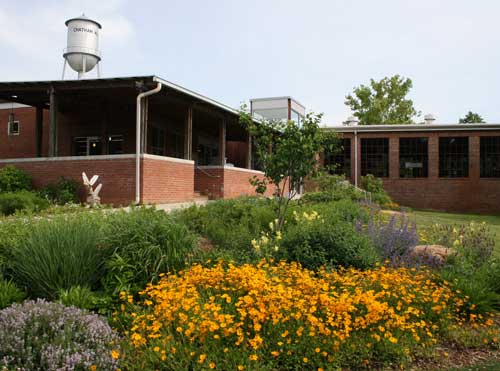 pollinator garden bed