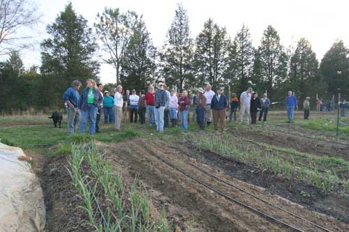 Cathy Jones describes Perry-winkle's drip irrigation system