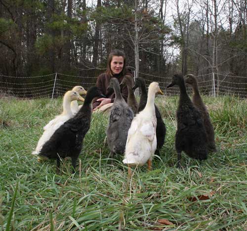 kenan and ducklings