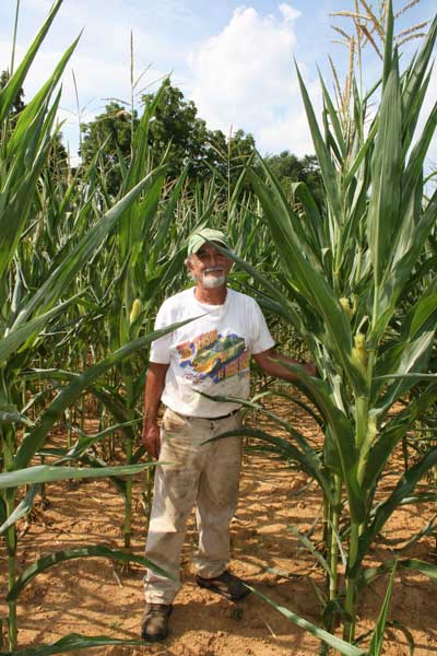 Murray Cohen in corn field