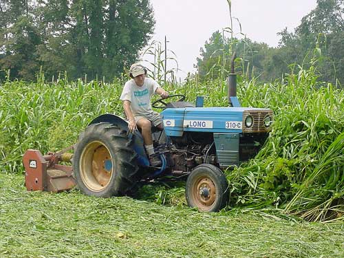 Alex mows a summer cover crop