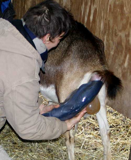 Close-up of kid being born