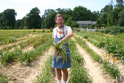 man holding daylily plant