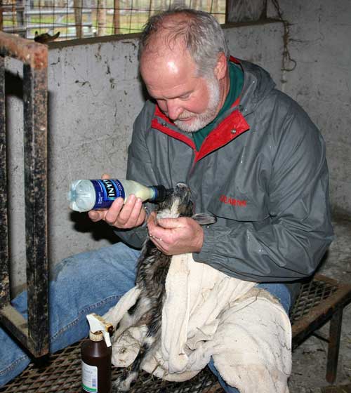 Alton botle-feeds the kid.