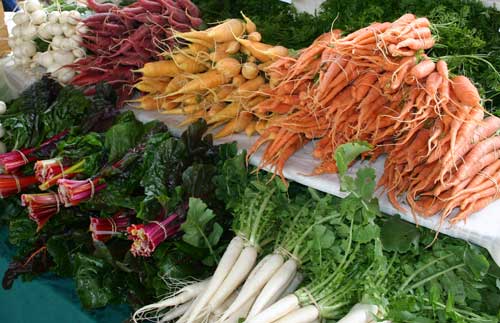 radishes, carrots, turnips, and chard!