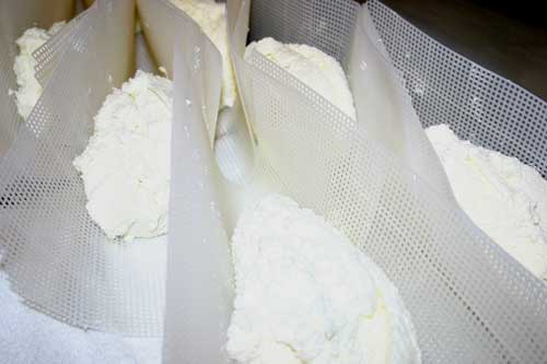 fresh cheese