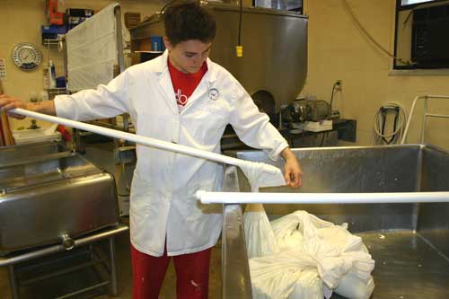 Whitney removes the cloth bags after the curd has drained