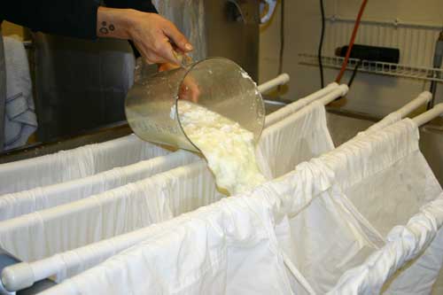 The curd is allowed to drain for several hours to separate the whey